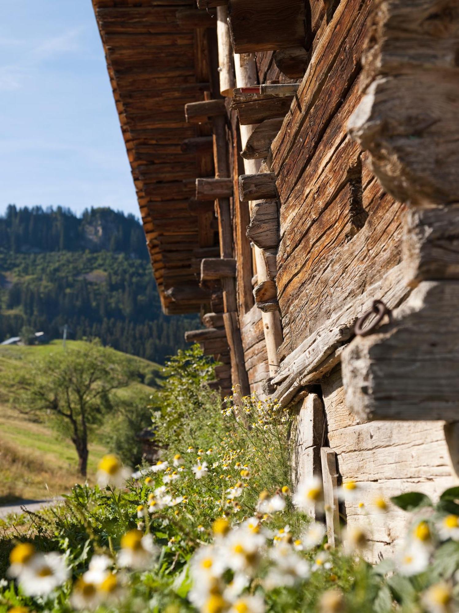 Mgm Hotels & Residences - Residence Le Roc Des Tours Le Grand-Bornand Eksteriør bilde